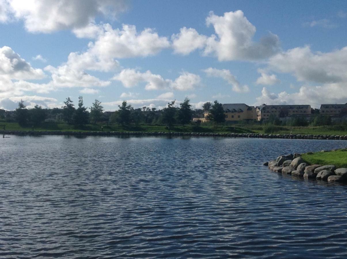 Ballyard House B & B Tralee Bagian luar foto